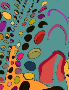 OLYMPUS DIGITAL CAMERA