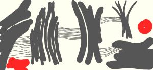 Fleet Foxes White Winter Hymnal With scarves of red tied 'round their throats, to keep their little heads, from falling in the snow