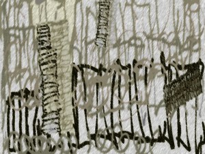 for Seth Cluett Forms of Forgetting #1